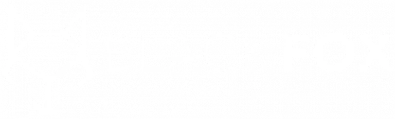 BlackFox Marketing Partner Logo Version 2